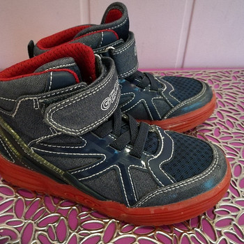 Tossud Geox,29