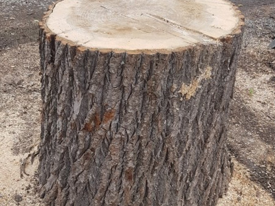 Känd