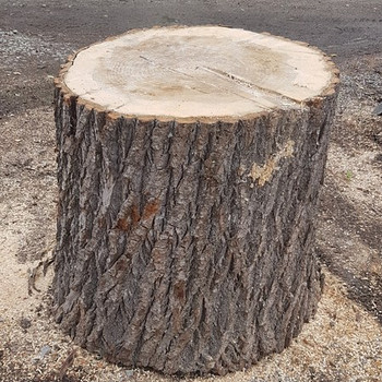 Känd