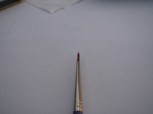Raamat Pintsel joonistamiseks - orav (3 foto / 3)