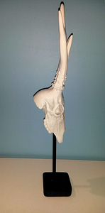 Dekoor-sisustuselement Valge Kits, 45 cm (7 foto / 7)