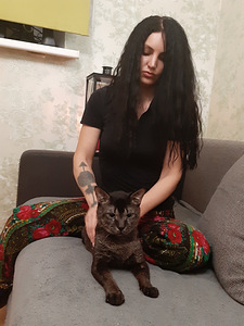 Чаузи СБТ кот (3 фото из 4)