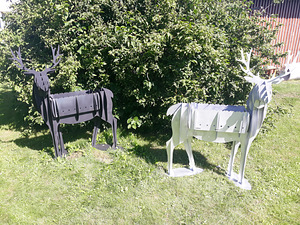 Grill hirves (2 foto / 4)