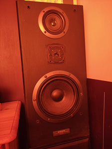 Pioneer (2 фото из 3)