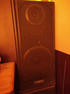 Pioneer (3 фото из 3)