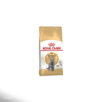 Royal Canin British Shorthair 10kg