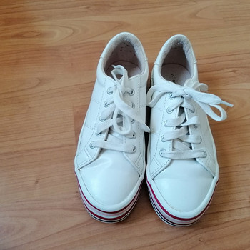 Zara tennised, suurus 35,5