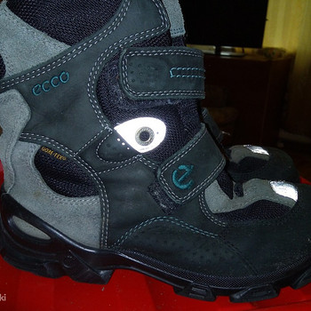 Зимние сапоги ecco
