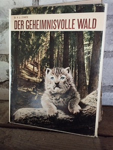 Raamatud (8 foto / 8)
