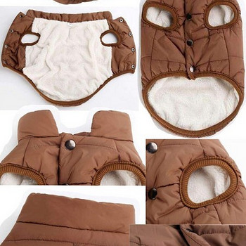 Koera vest
