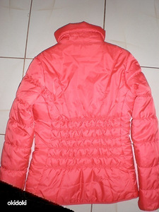 Puma jope (2 foto / 2)