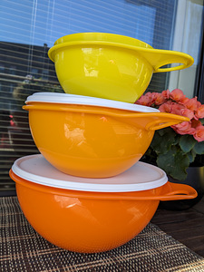 Tupperware taignakausid (1 foto / 3)