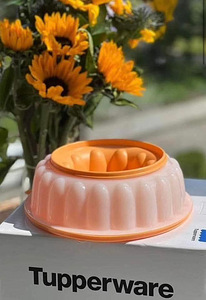 Tupperware форма для желе (2 фото из 3)
