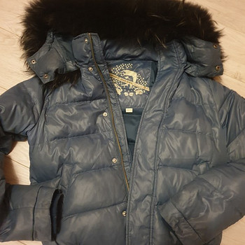 Disel with fur
