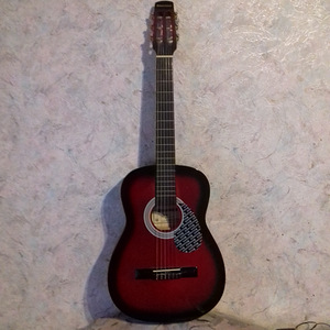 Brahner BG-100 akustiline kitarr (3 foto / 3)