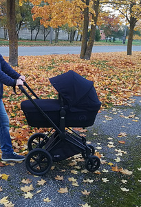 Детская коляска Cybex Priam и автокресло Cybex Cloud Q Plus (3 фото из 9)