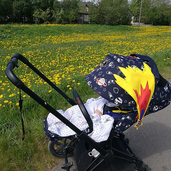Детская коляска Cybex Priam и автокресло Cybex Cloud Q Plus