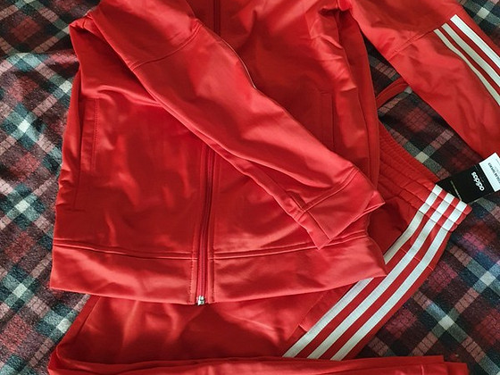 Adidas dressikas