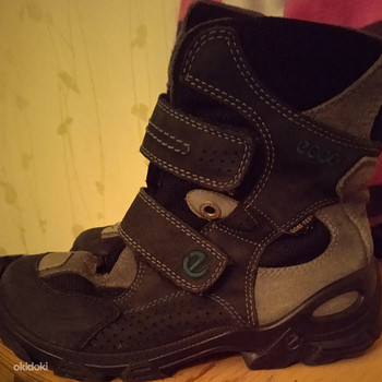 Ecco 34