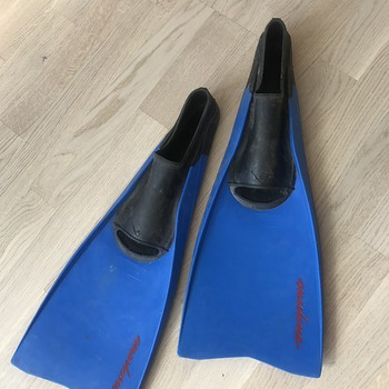 Eesti lestad 39-40 suurus