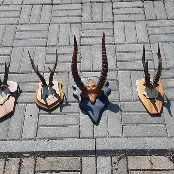 Рога диких животных