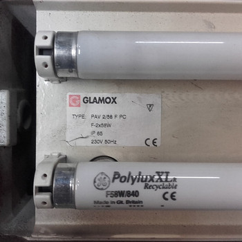 Valgustid Clamox 2x58