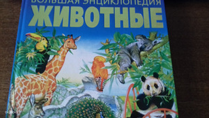 Книги (6 фото из 10)