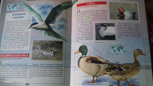 Книги (8 фото из 10)