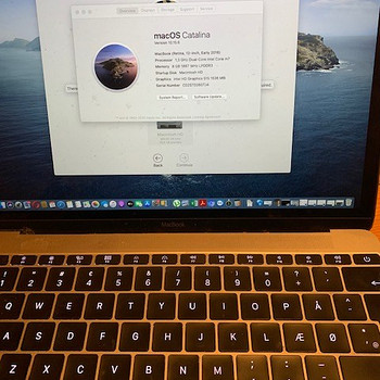 MacBook Retina, 12 дюймов, процессор постоянного тока, M7,3 ГГц / 8 ГБ / 512 ГБ / Intel HD 615