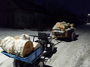 Minitraktor, motoplokk, lumesahk, oksapurustaja, haagis (7 foto / 9)