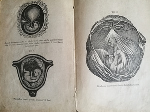 Vana raamat aastast 1907 Tokologia ehk sunnitamise teadus (3 foto / 3)