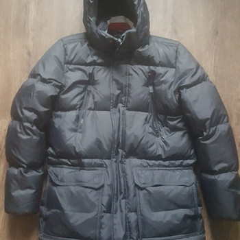 Talvejakk