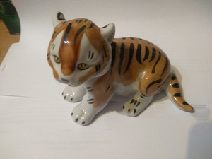 Kujuke DFZ Tiger cub (4 foto / 6)