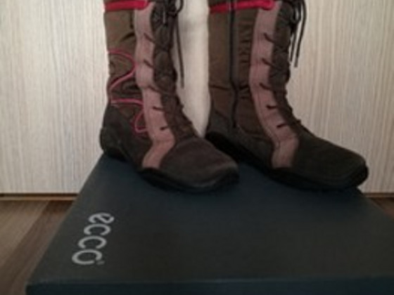 Ecco saanad