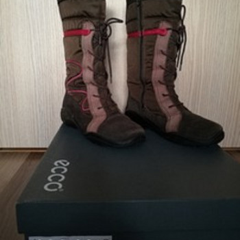 Ecco Saanad