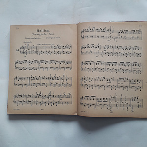 Vanade märkmete kogu Frederic Chopin Edvard Grieg (3 foto / 3)