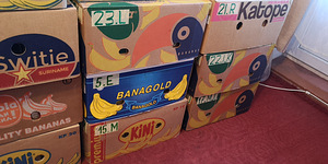 RAAMATUD (3 foto / 9)