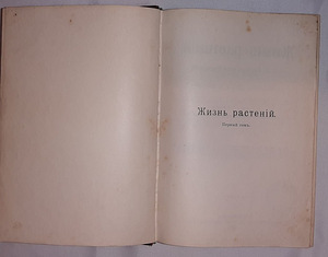 Taimeriik ja mineraalide riik 1903 (6 foto / 7)