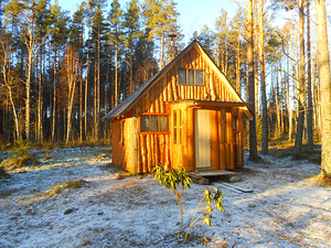 Отдых на Чудском, в сосновом лесу (1 фото из 3)