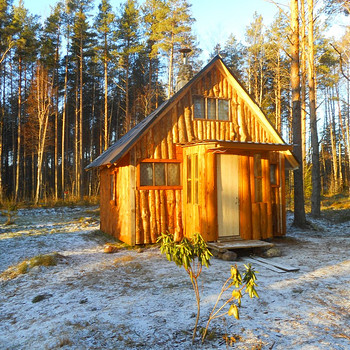 Puhkus Peipsi järve ääres, männimetsas