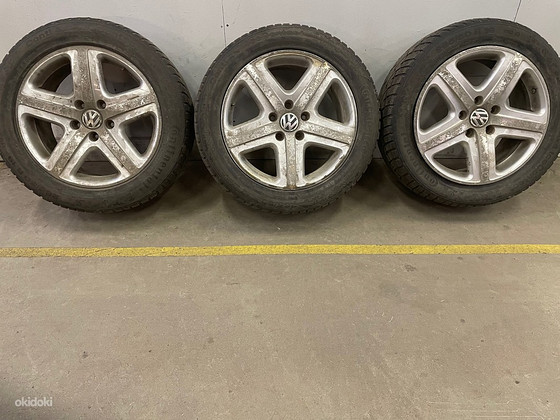 Veljed
