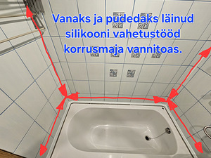 Plaatimine, plaatide parandus ja silikoonimine (10 foto / 10)