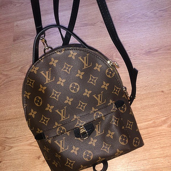 Louis Vuitton Palm Spring Bag