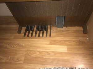 Elektriline orel (2 foto / 6)