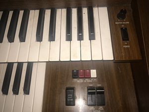 Elektriline orel (5 foto / 6)