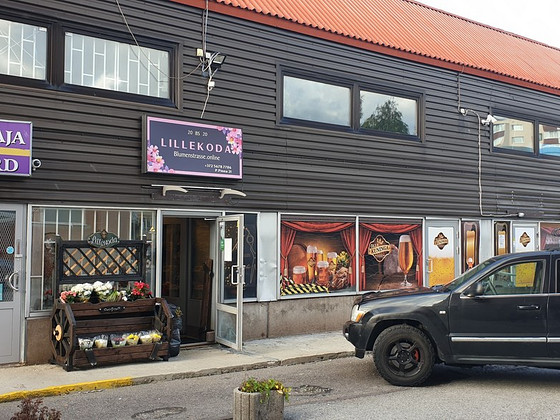 LOMBARDPANDIMAJA PINNA21 "ACRAMAGICA"