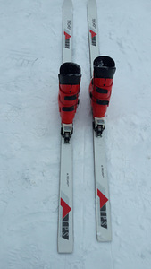Лыжи gornie TECNO Pro (2 фото из 6)