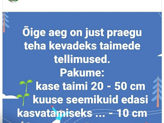 Metsataimed
