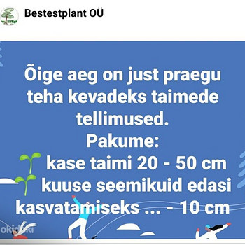 Metsataimed