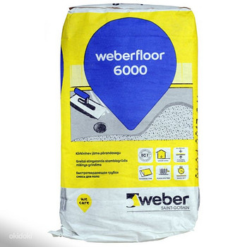 Weber 6000